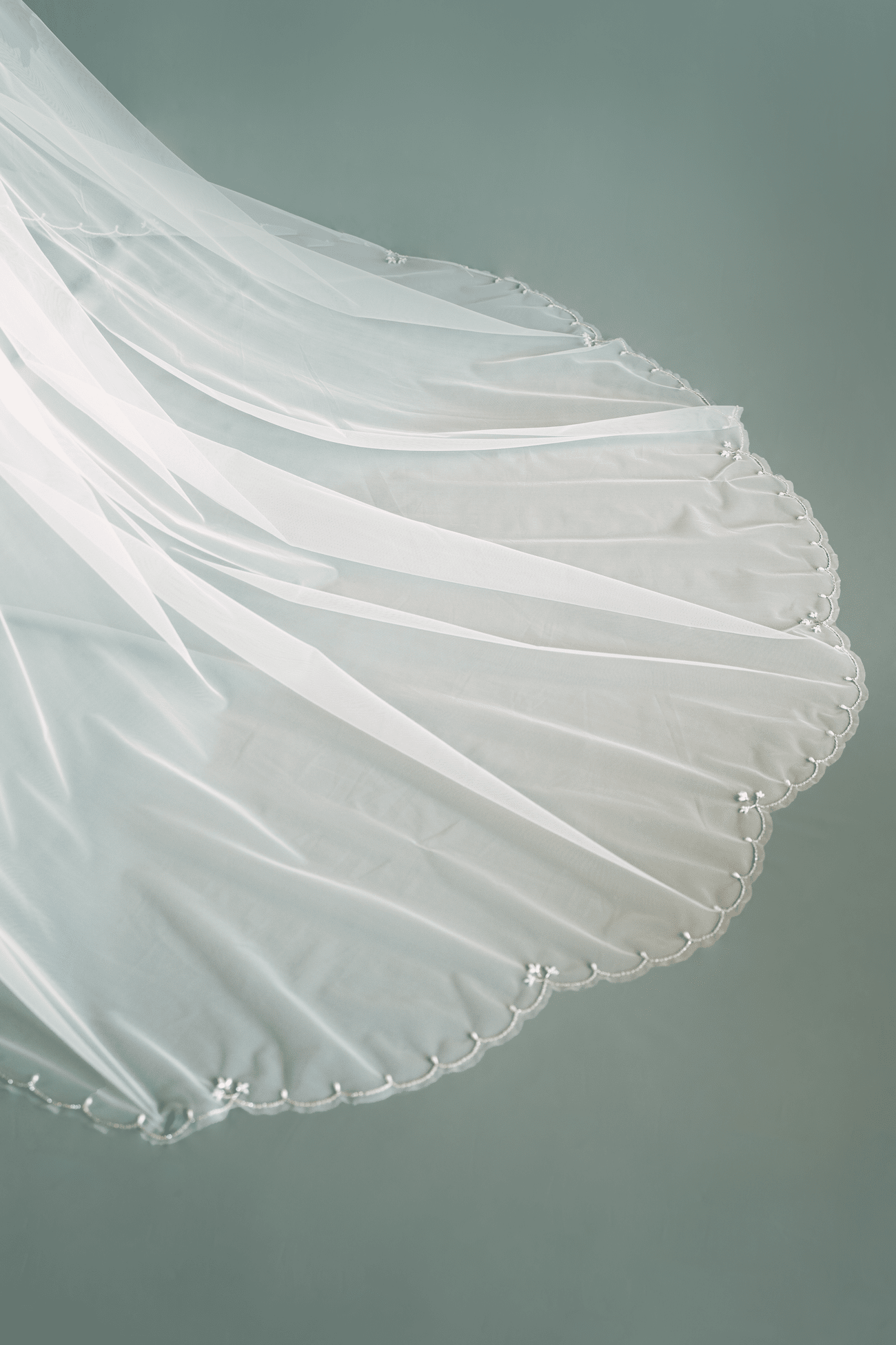 Allegra Veil