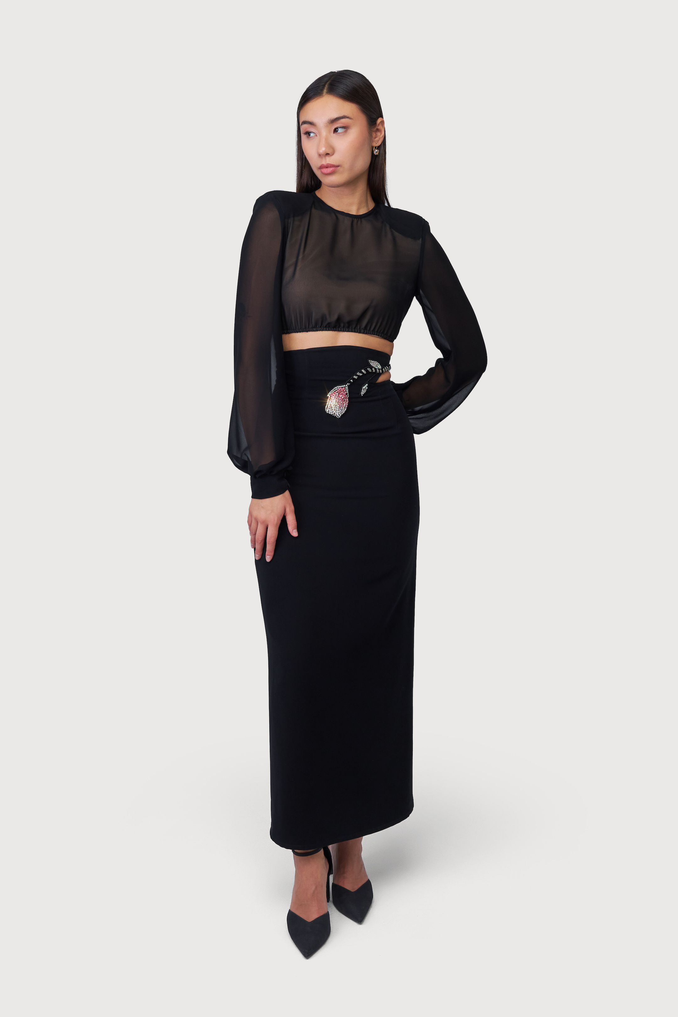 Sheer Crop Blouse