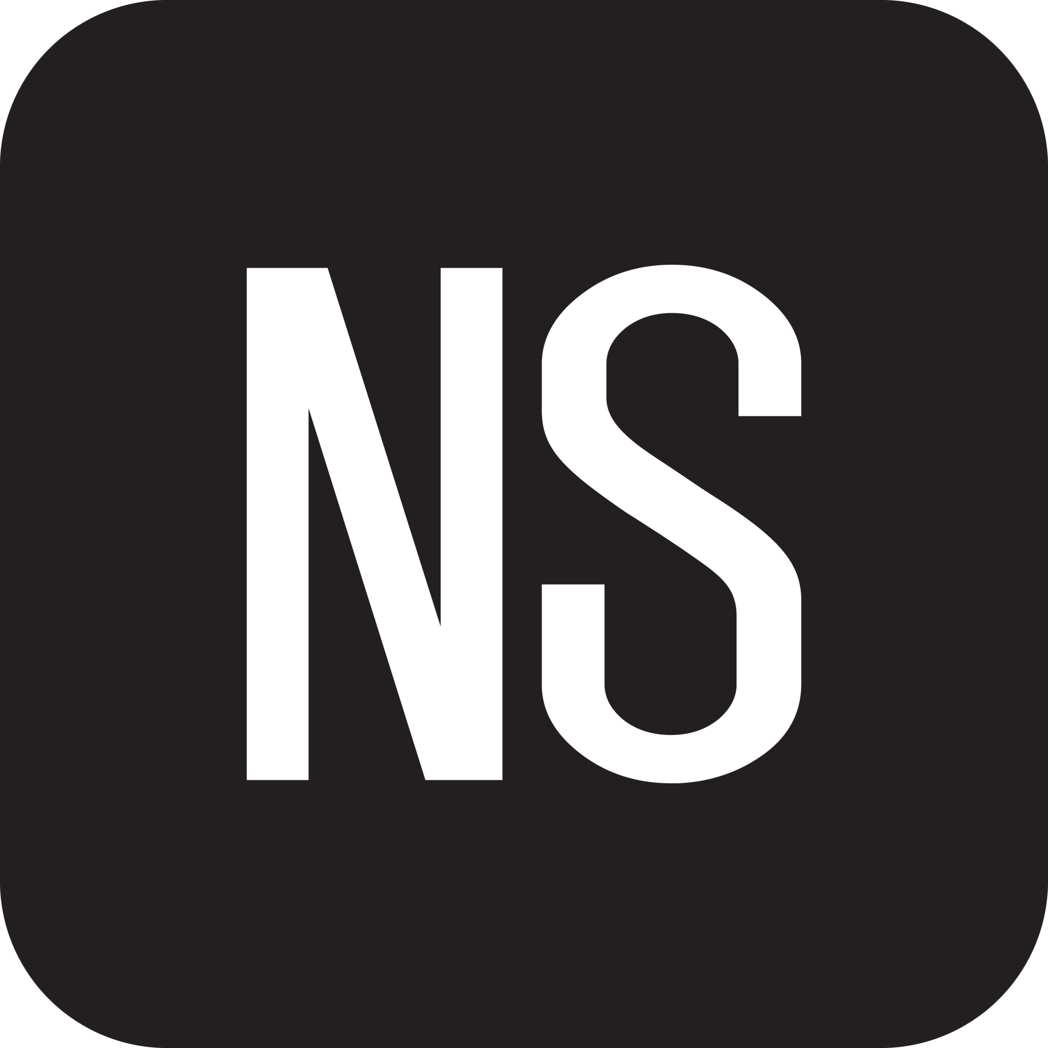 logo of Nafsika Skourti